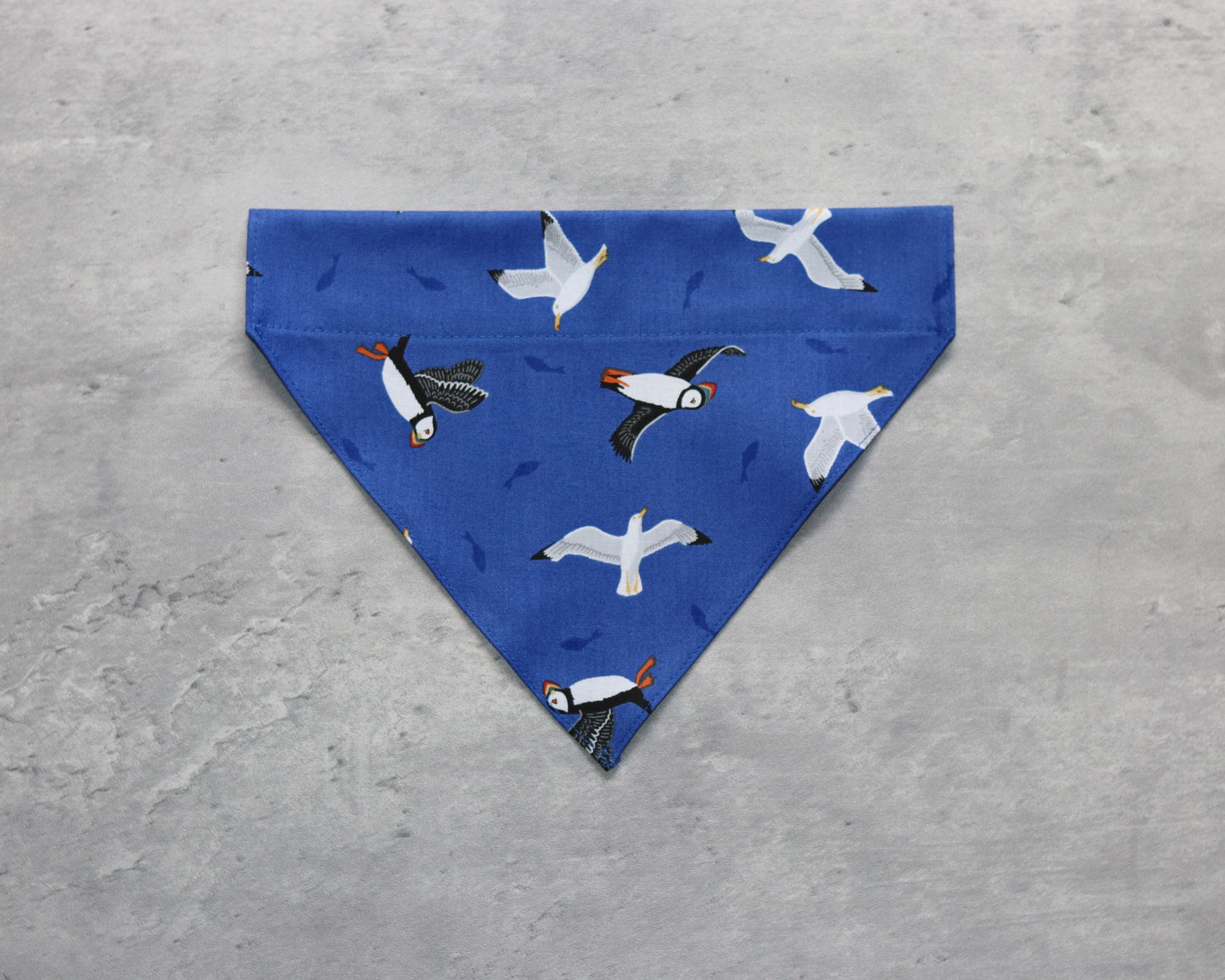 Clifftop Caller - Windwatcher's Wrap Bandana