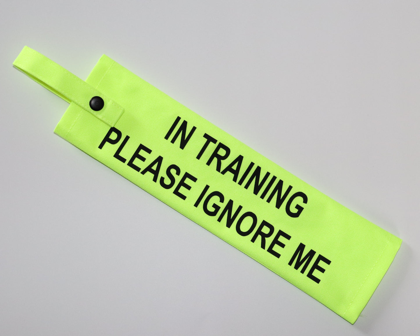 In Training Please Please Ignore Me Fluorescent Dog Lead Sleeve