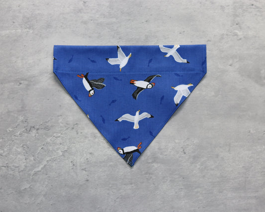 Clifftop Caller - Windwatcher's Wrap Bandana