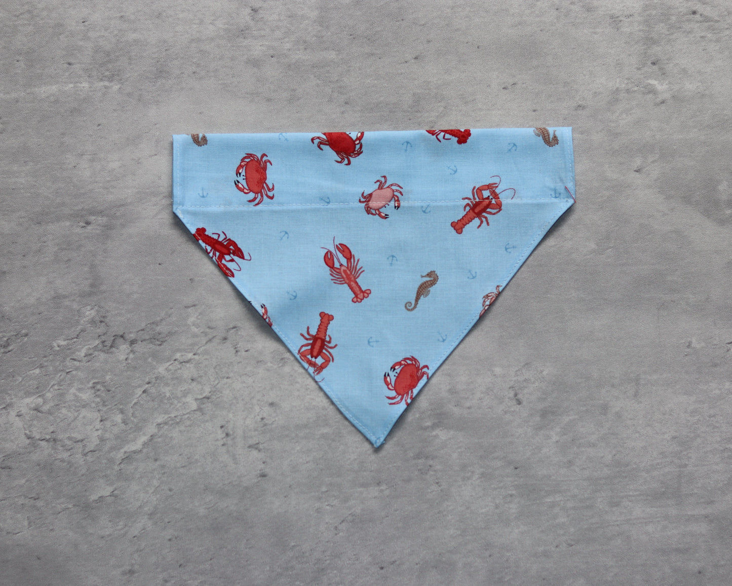 Rockpool Rambler – Marine Life Bandana