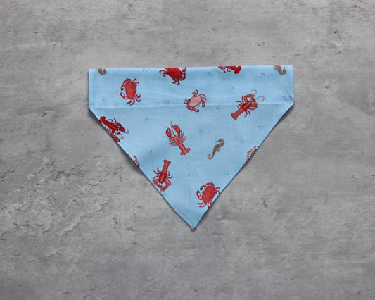 Rockpool Rambler – Marine Life Bandana