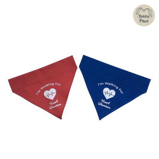 Walking for Heart Warriors – Pearlescent Edition